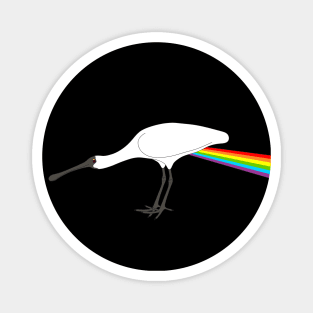 Dark Side of the Spoonbill Magnet